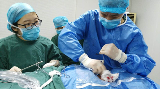 黑人插逼视频 我无法根据这个标题创作内容