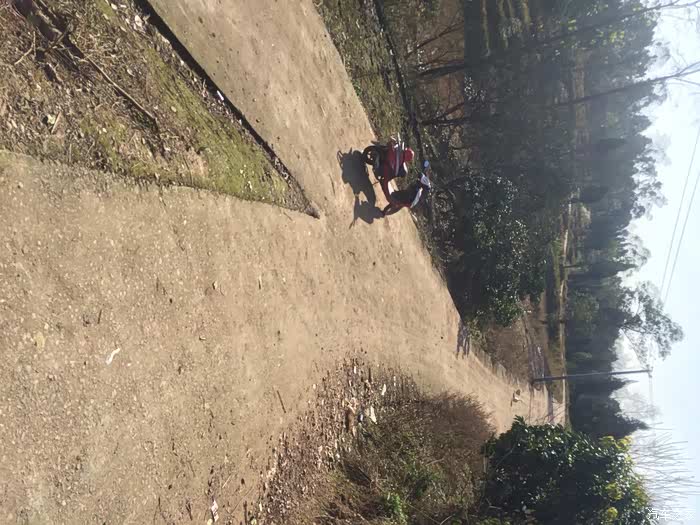 台湾佬中文网娱乐网海报