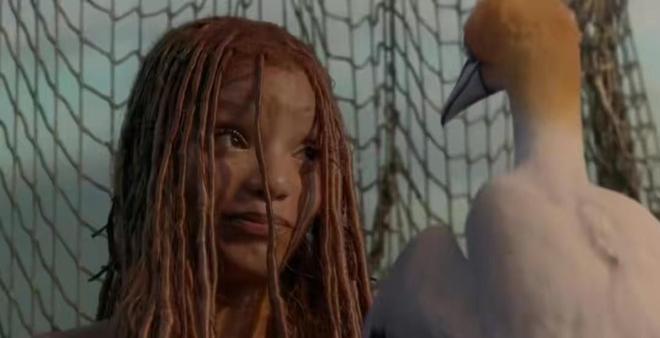 小视频资源 请务必注意版权保护