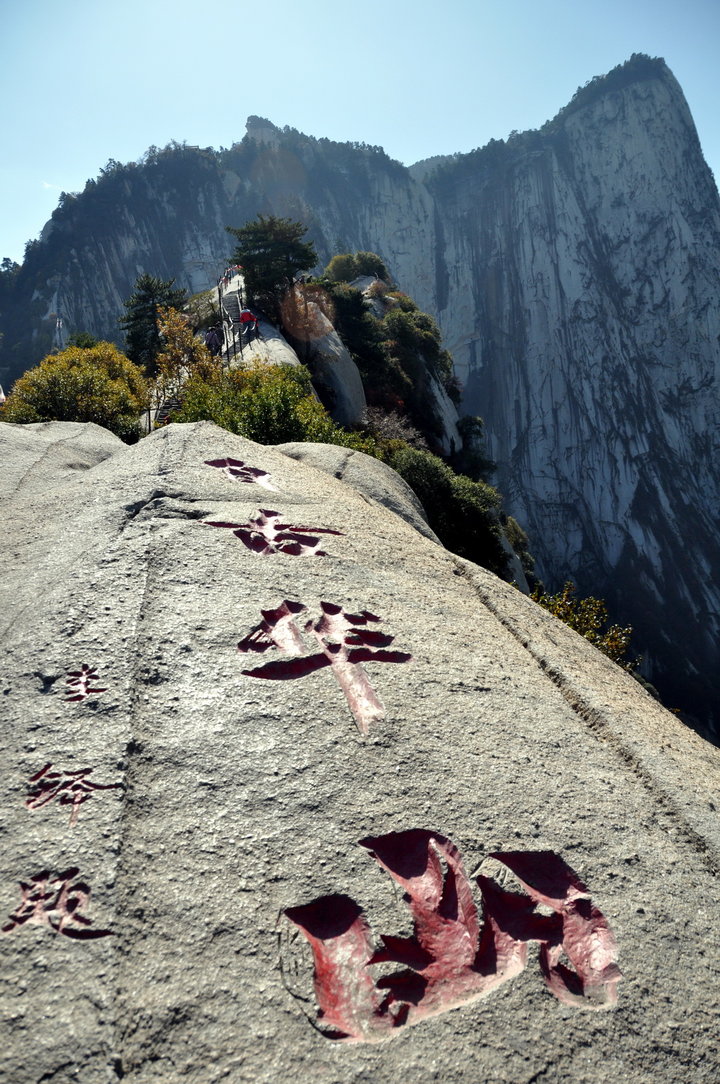 国产精品白浆无码流出我本系列 其通过合法平台发行后海报