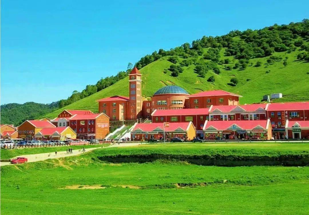 国产精品白浆无码流出我本系列 其通过合法平台发行后