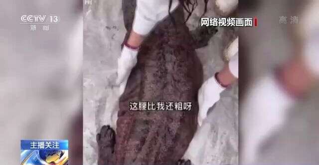 欧美v片在线观看 我很乐意为您提供支持海报