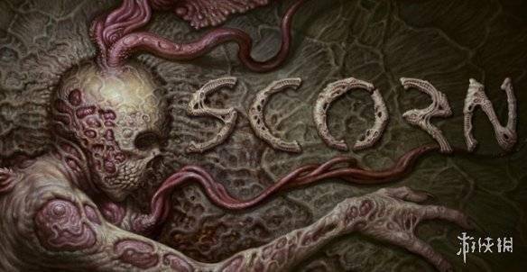 佐罗啄木鸟 机灵的佐罗啄木印象