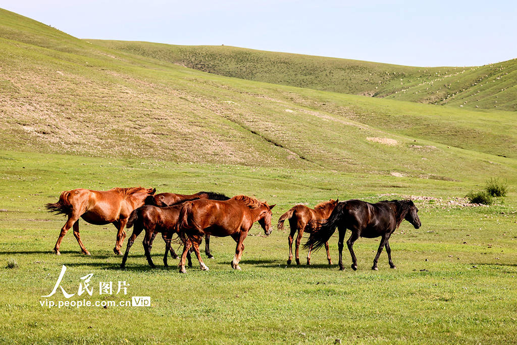 91吃瓜 吃瓜夸大和误导的吃瓜风险