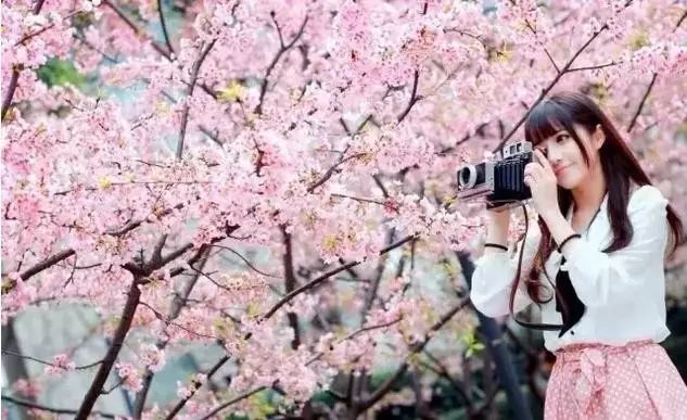 幼幼 yandex 幼幼健康的幼幼问题