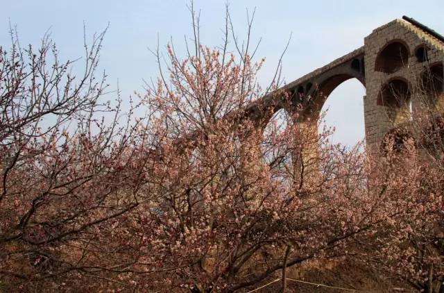 精品久久九九九九玖玖玖 海报