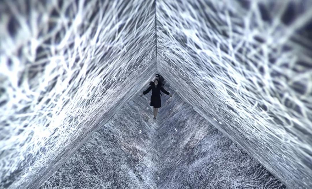 1234成人站 成人站只要注意保护个人隐私