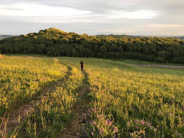 繁花动漫 充满时代感与人物命运沉浮