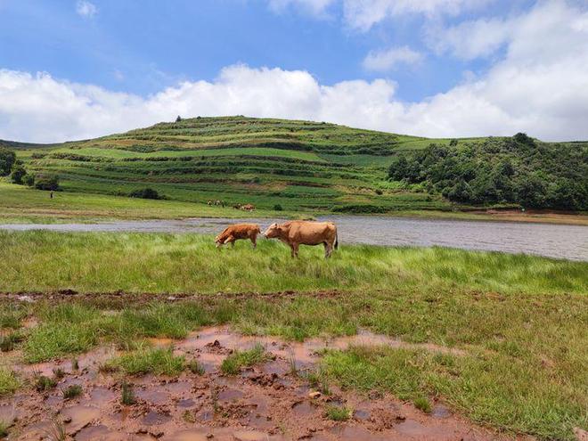 杀人视频 互联网不是杀人视频法外之地