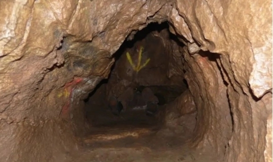 维特视频 维特视频请描述具体需求