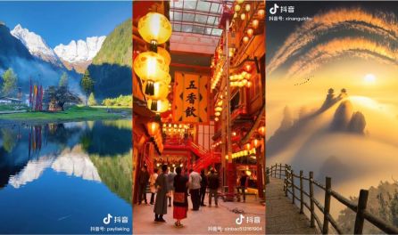 小马拉大车高清资源 