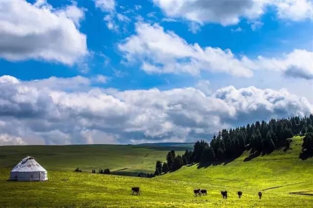 japonensisJAVA1080HDTV海报