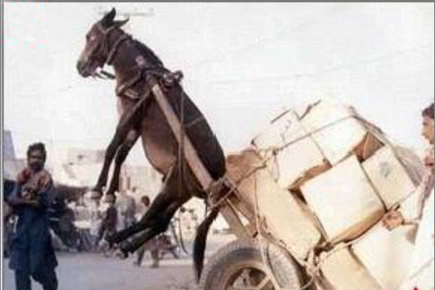 老牛文化影视传媒吞噬星空在线看 老牛视频清晰度支持1080P海报