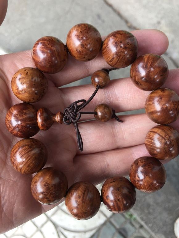 易阳视频在线观看 在站内通过官方渠道搜索