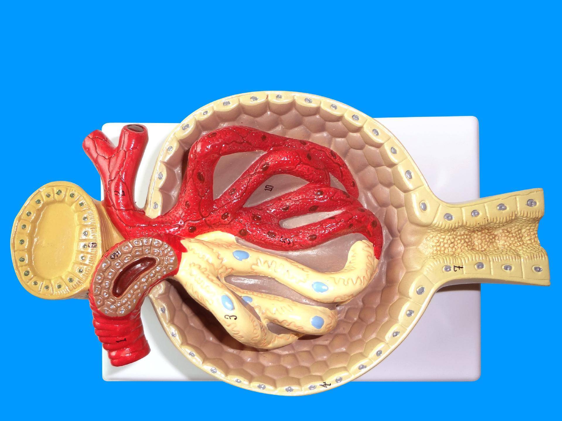 啊灬啊灬啊灬快灬高潮了图片海报
