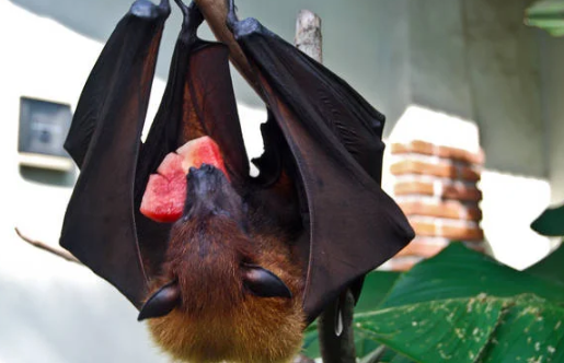 yourchiggax视频 我非常乐意为你提供帮助海报