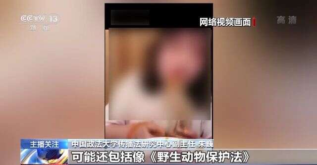 狮子座最新视频 常有长视频或深度解析