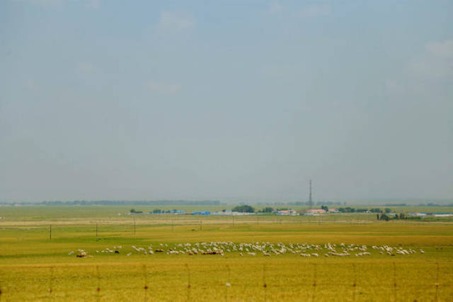 困困狗接吻 然后开玩笑说“接吻充电”海报