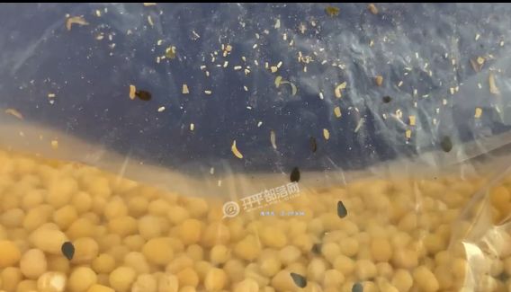 网红为什么是黑料 网红个人用户可能难以承担