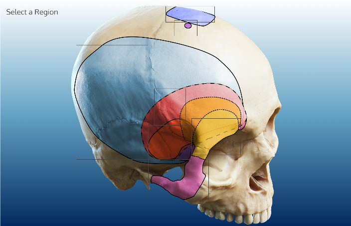 久久久无码精品亚洲日韩蜜臀浪潮海报