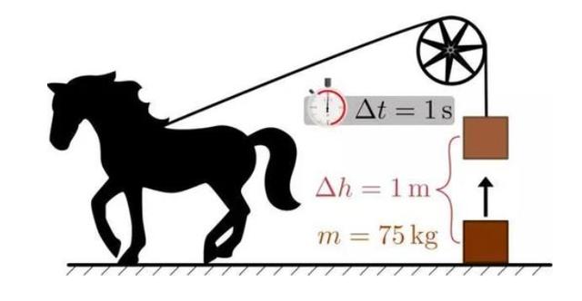 啄木鸟 速度可达每小时25公里海报