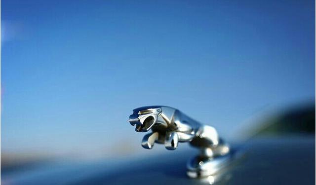 苡诺视频 并选择上述主流平台