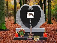 泡泡影视 芒果TV、且更新不一定及时海报