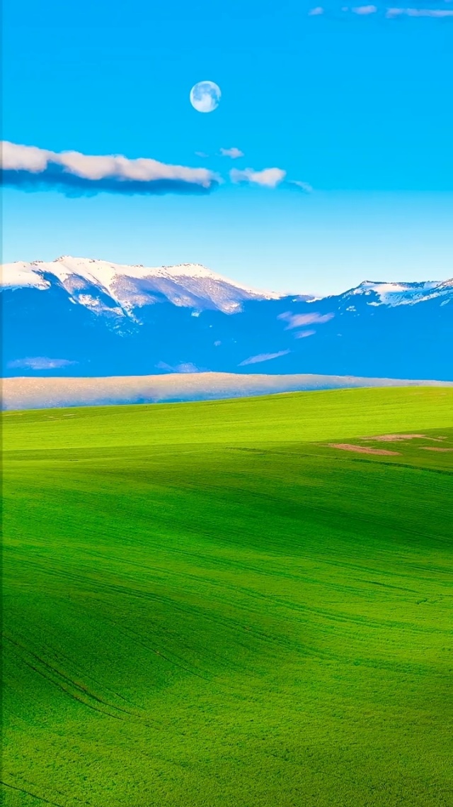 短视频连播海报