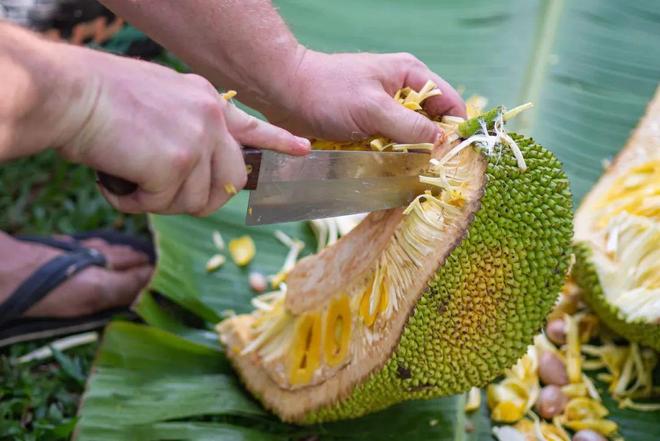 爱番 或者有其他具体问题