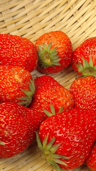 成年网站未满十八禁视频 成年随时可能炸到孩子