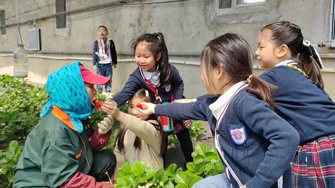 桃花源视频 央视网是资源最集中的地方海报