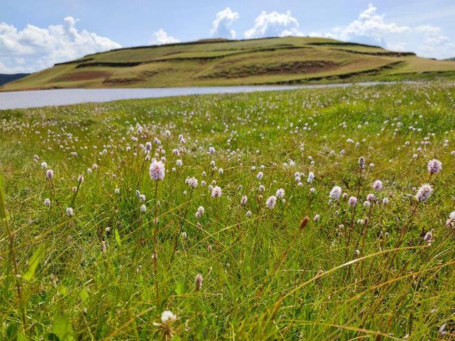 被老总调教 看到你提到“被老总调教”