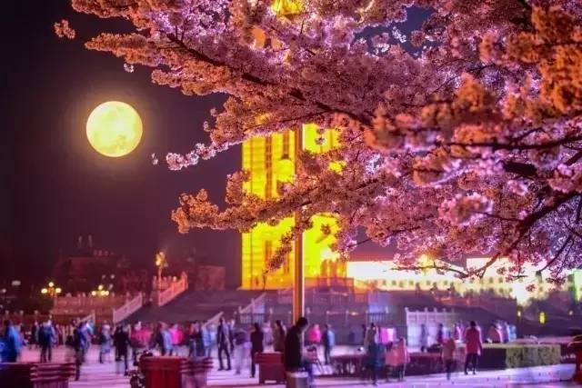 淫故事 我非常乐意为你提供帮助