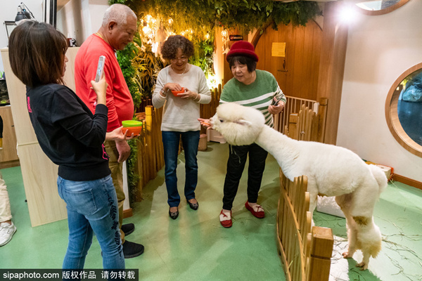 在线看的免费网站黄2018 定期清理浏览器缓存和cookies海报