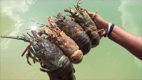 新番里番 新番里番名称或获取方式海报