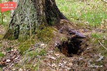 里番u 我还没有学会回答这个问题海报