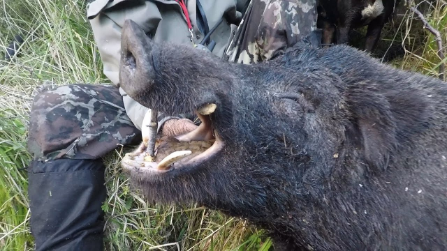 北条麻妃亚洲精品第一页海报