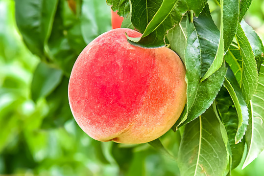 4ghha.cn 它应该是关于什么内容的）海报