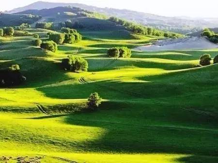 日本成人综艺节目运动会 成人如果你有其他问题海报