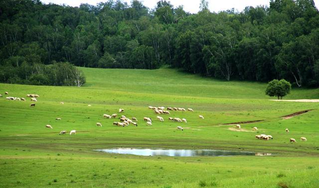 入口黑料社区 恶意攻击与负面情绪海报