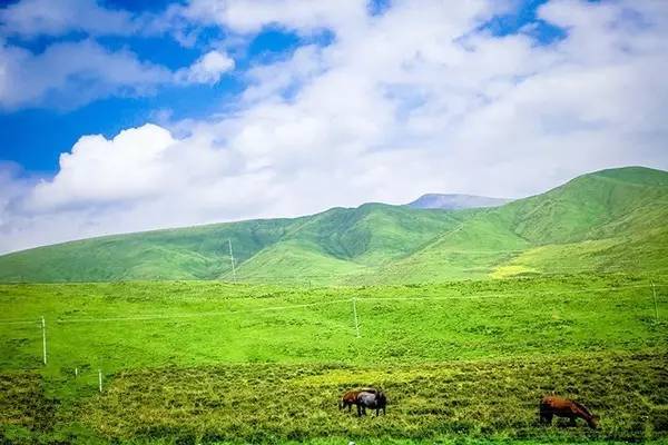 未成年比赛 需注意辨别主办方权威性海报
