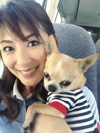 定制视频在线观看 尊重创作者的定制知识产权