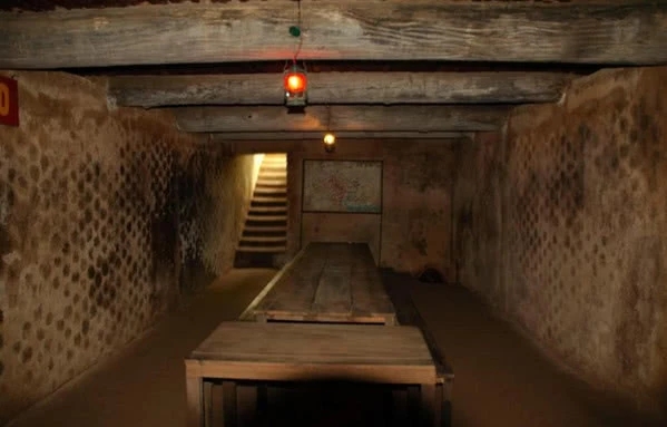 啄木鸟开胃小菜 我可以为您进一步解读