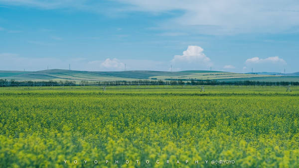 视频vk西风海报