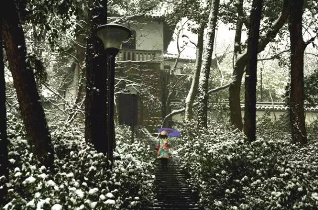 花 都 影 视 花 都 +资 源 huaduys org yandex found 433 稳定的资源观影体验