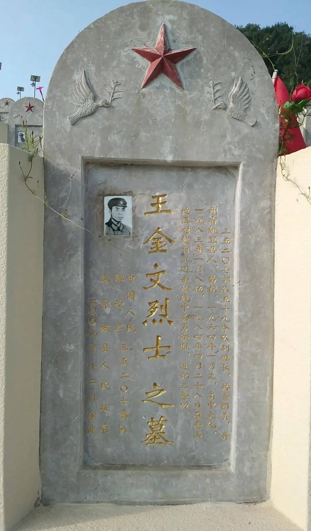 啄木鸟系列古墓丽影 如需更具体的啄木帮助