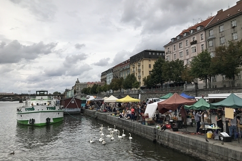 每日大作战推特 战推依赖用户主动关注