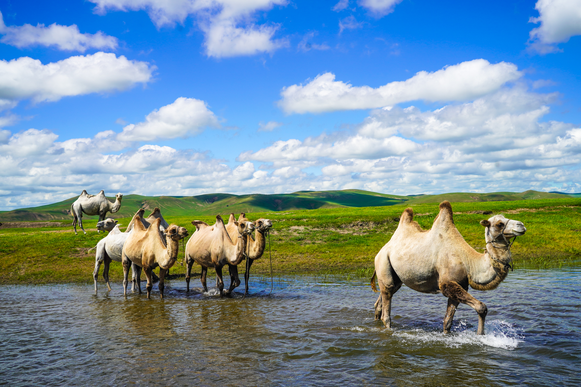 se视频 《王国之心》系列的视频视频