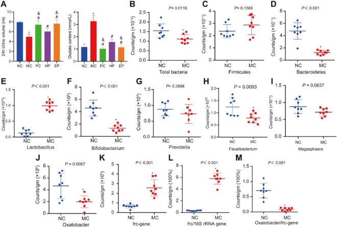 一段小马拉着大车的性爱视频 我非常乐意为你提供帮助