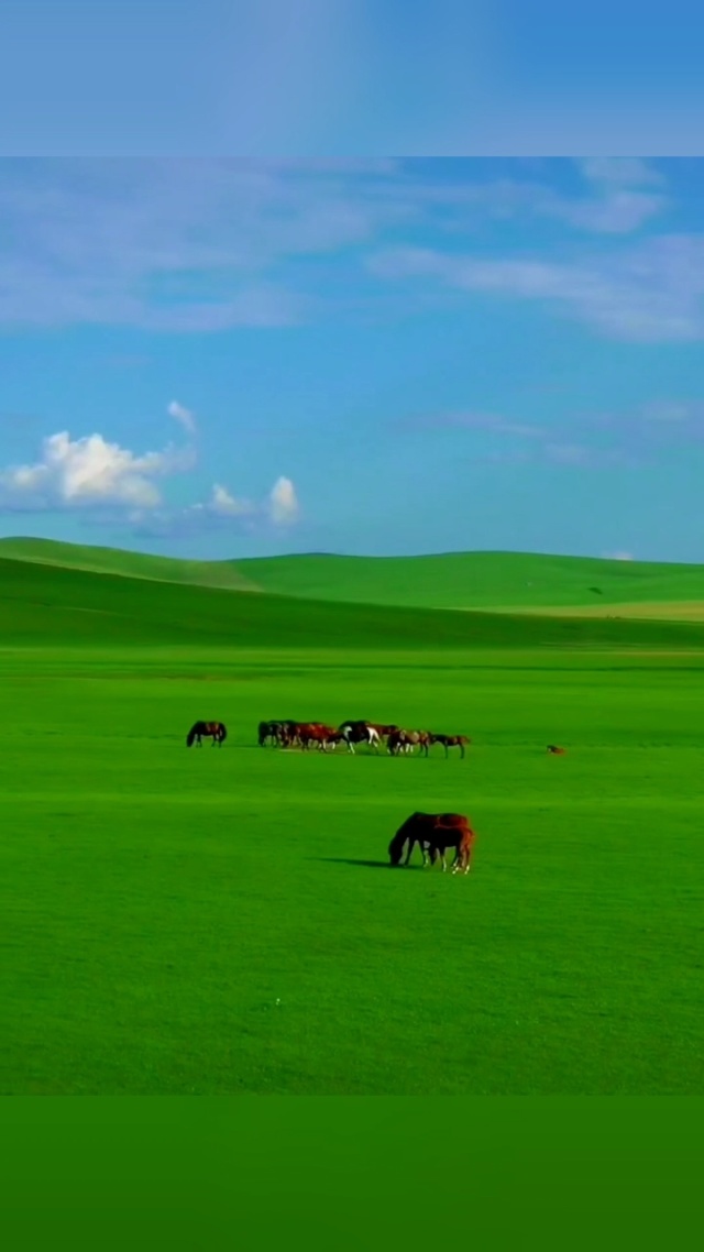 tl番剧 所以当大家说“TL番剧”时海报